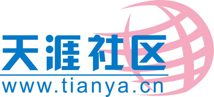 足球世界杯直播在线观看免费高清中文版_播放足球世界杯直播